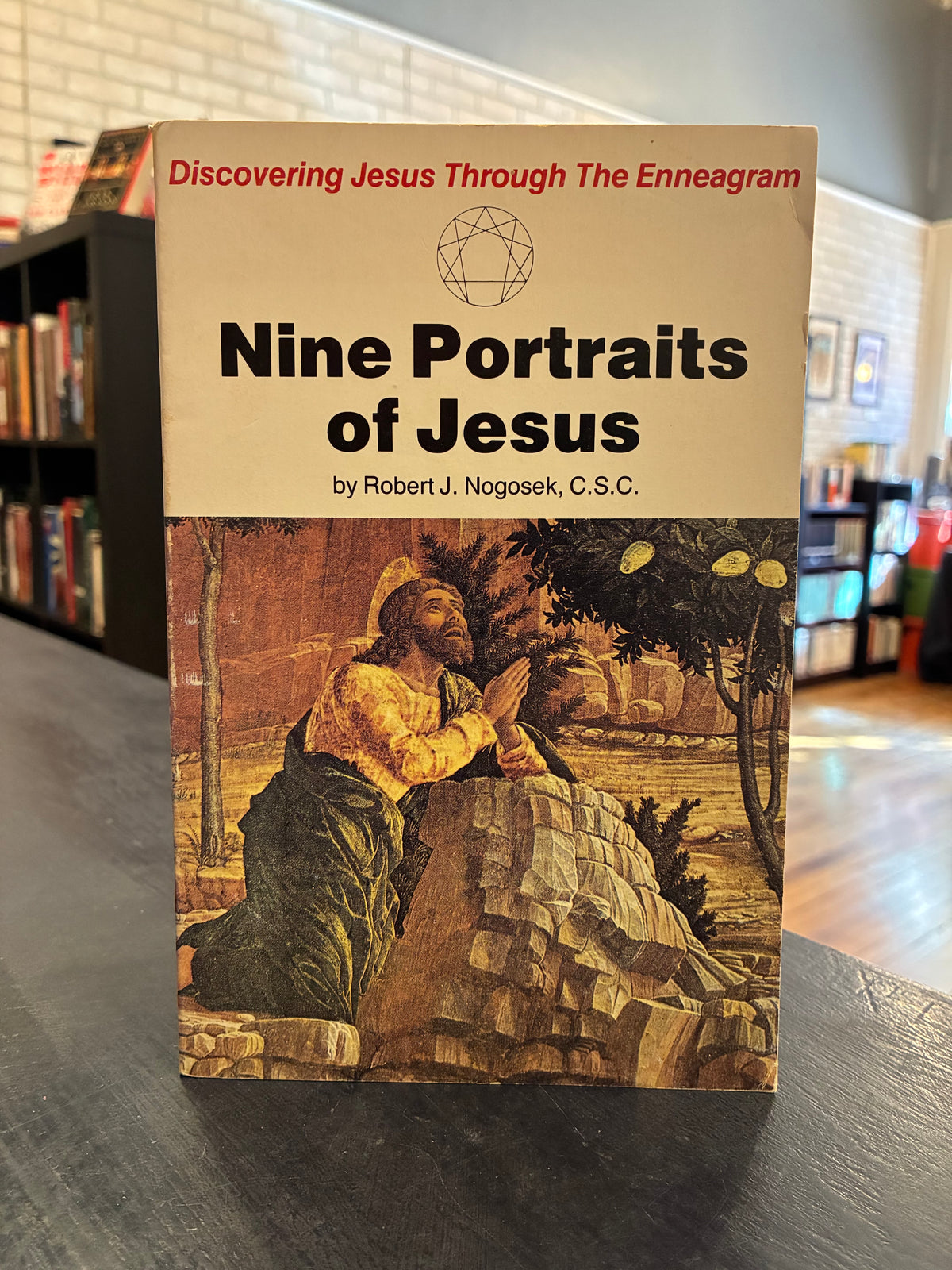 Nine Portraits of Jesus  - Robert J. Nogosek, C.S.C.