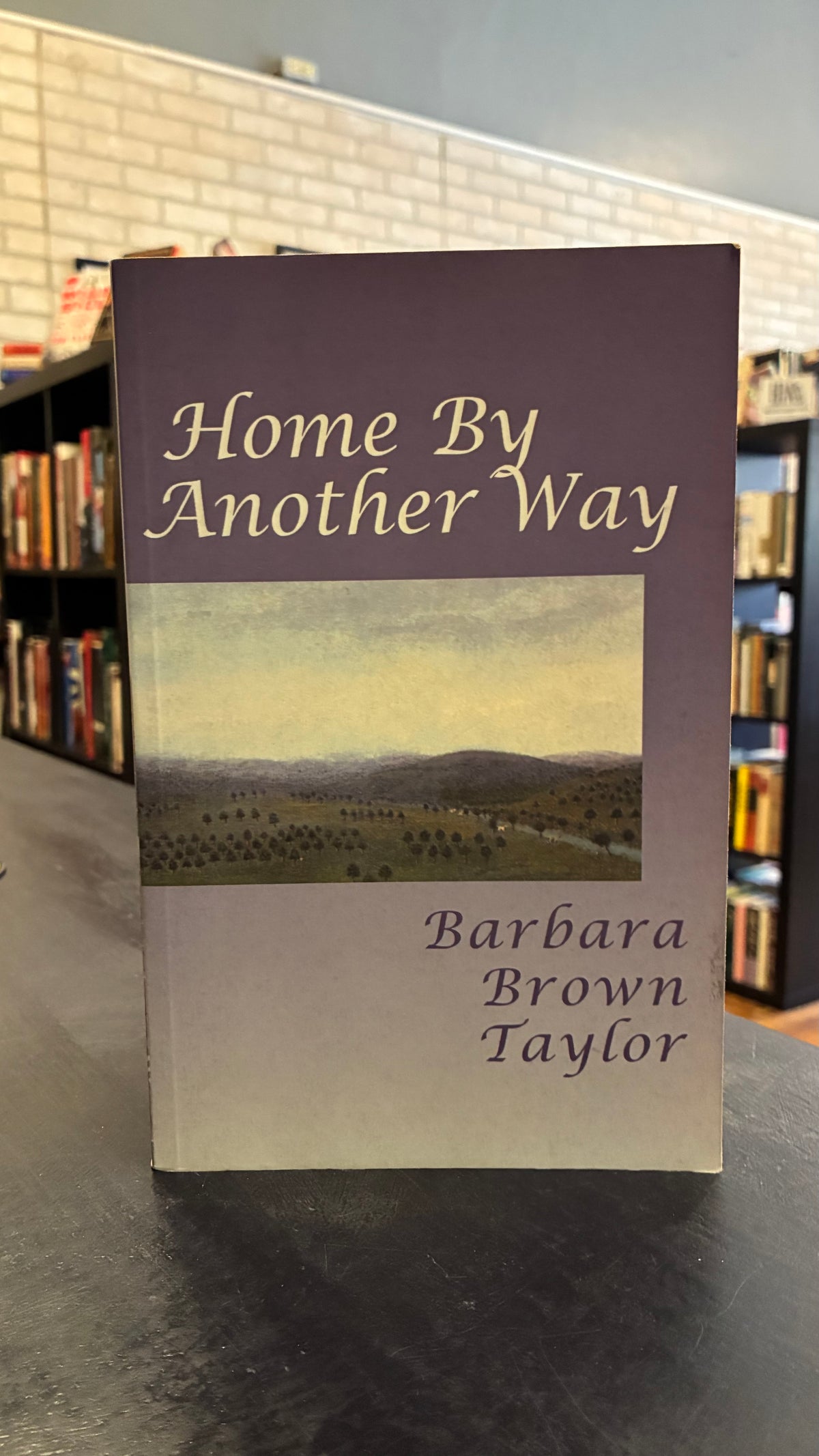 Home By Another Way - Barbara Brown Taylor