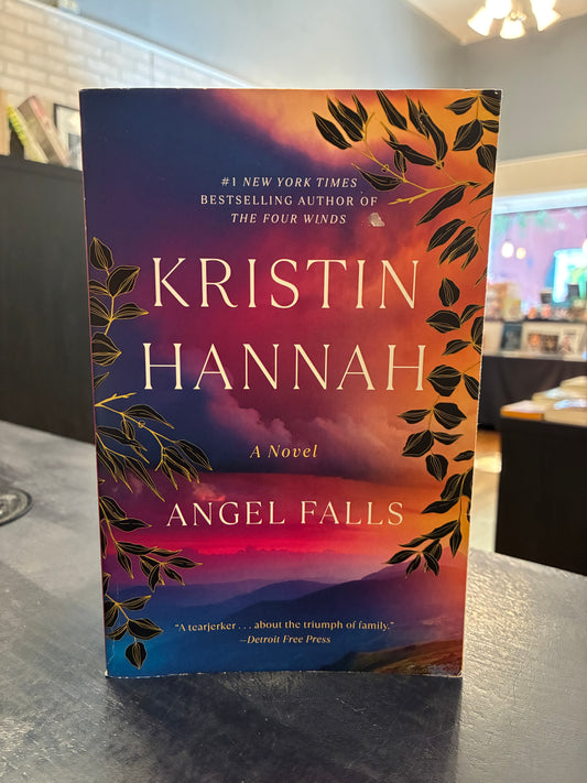 Angel Falls - Kristin Hannah