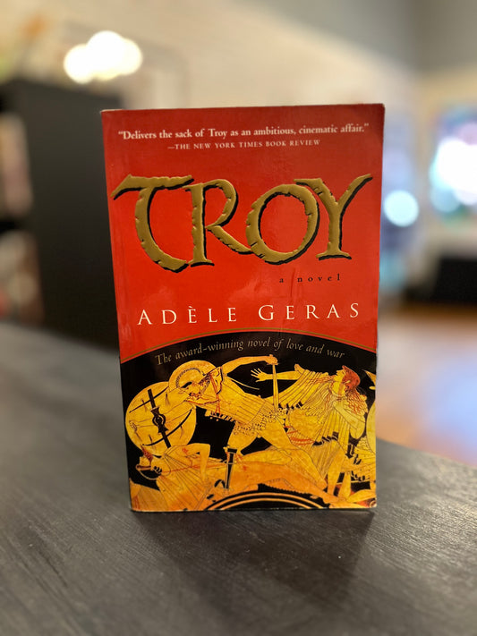 Troy - Adele Geras
