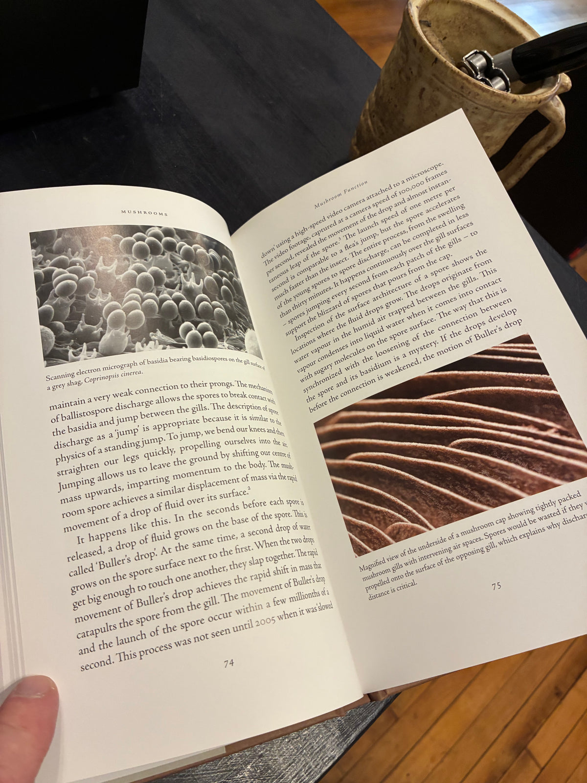 Mushrooms: A Natural and Cultural History - Nicholas P. Money