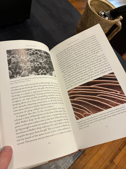 Mushrooms: A Natural and Cultural History - Nicholas P. Money