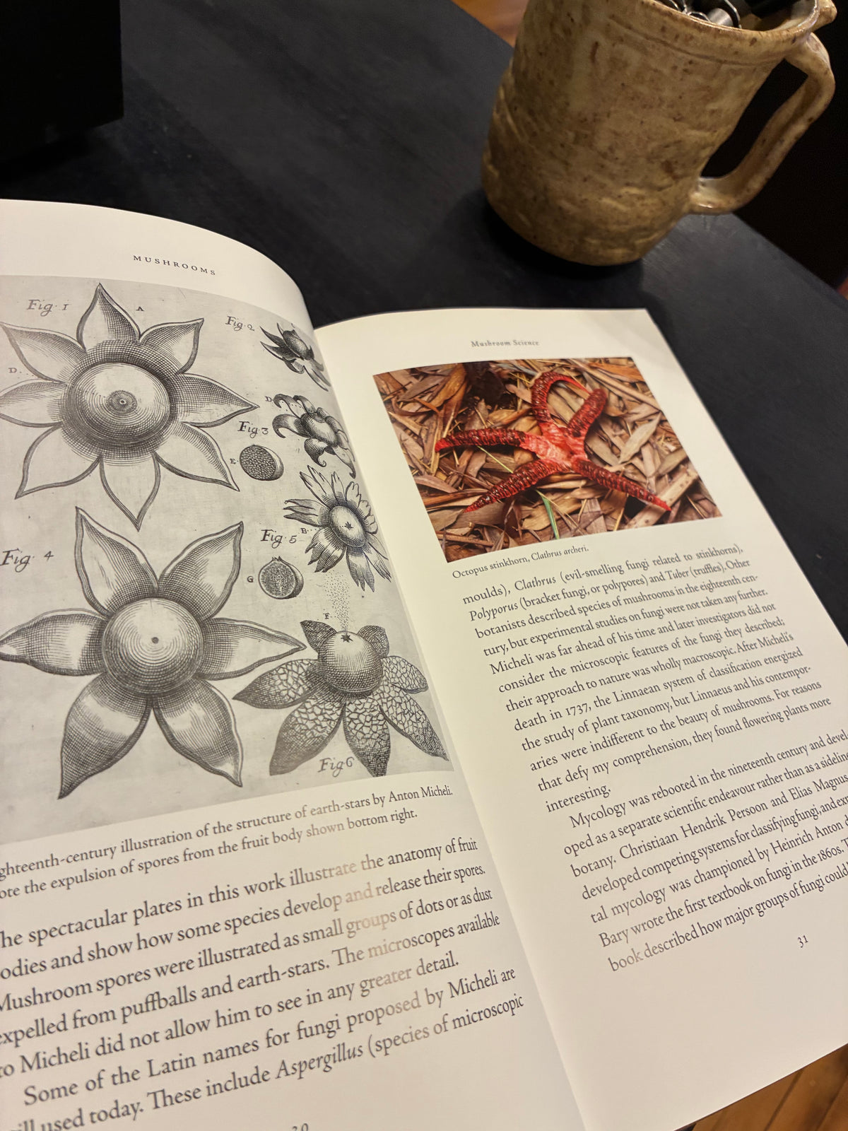 Mushrooms: A Natural and Cultural History - Nicholas P. Money