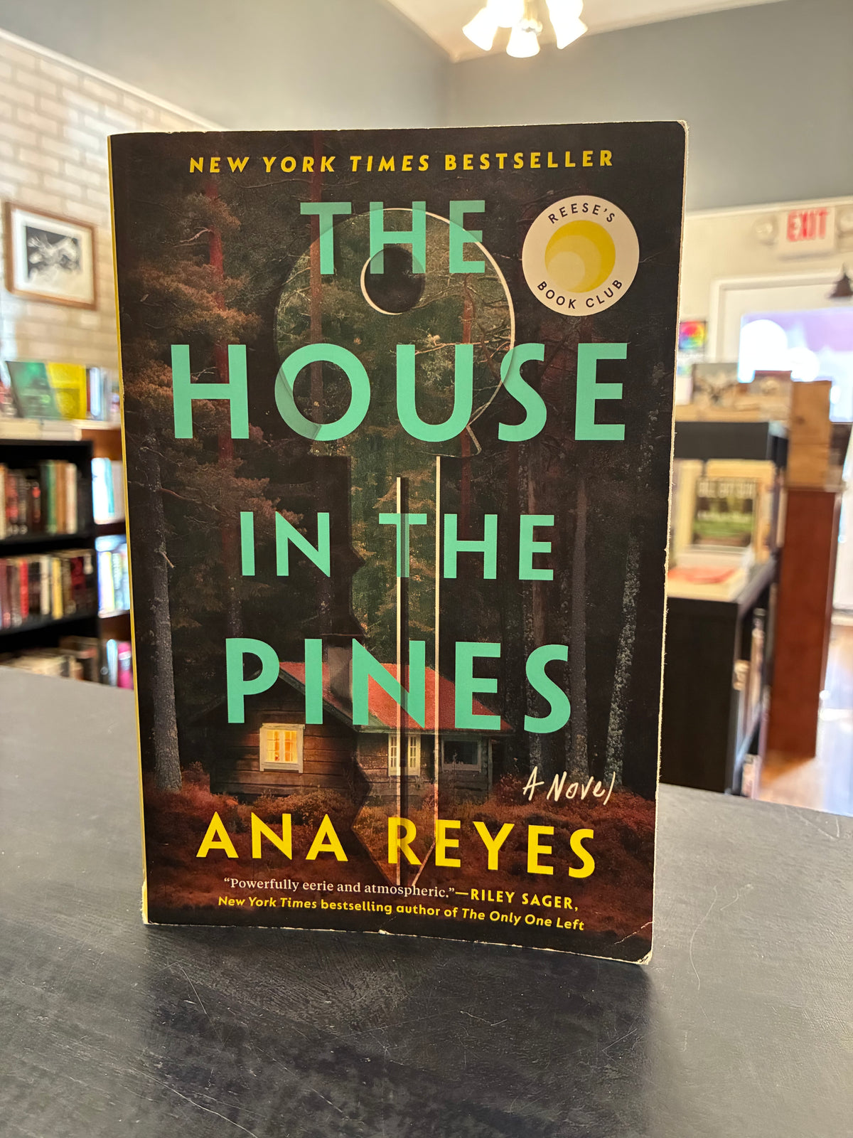 The House in the Pines - Ana Reyes