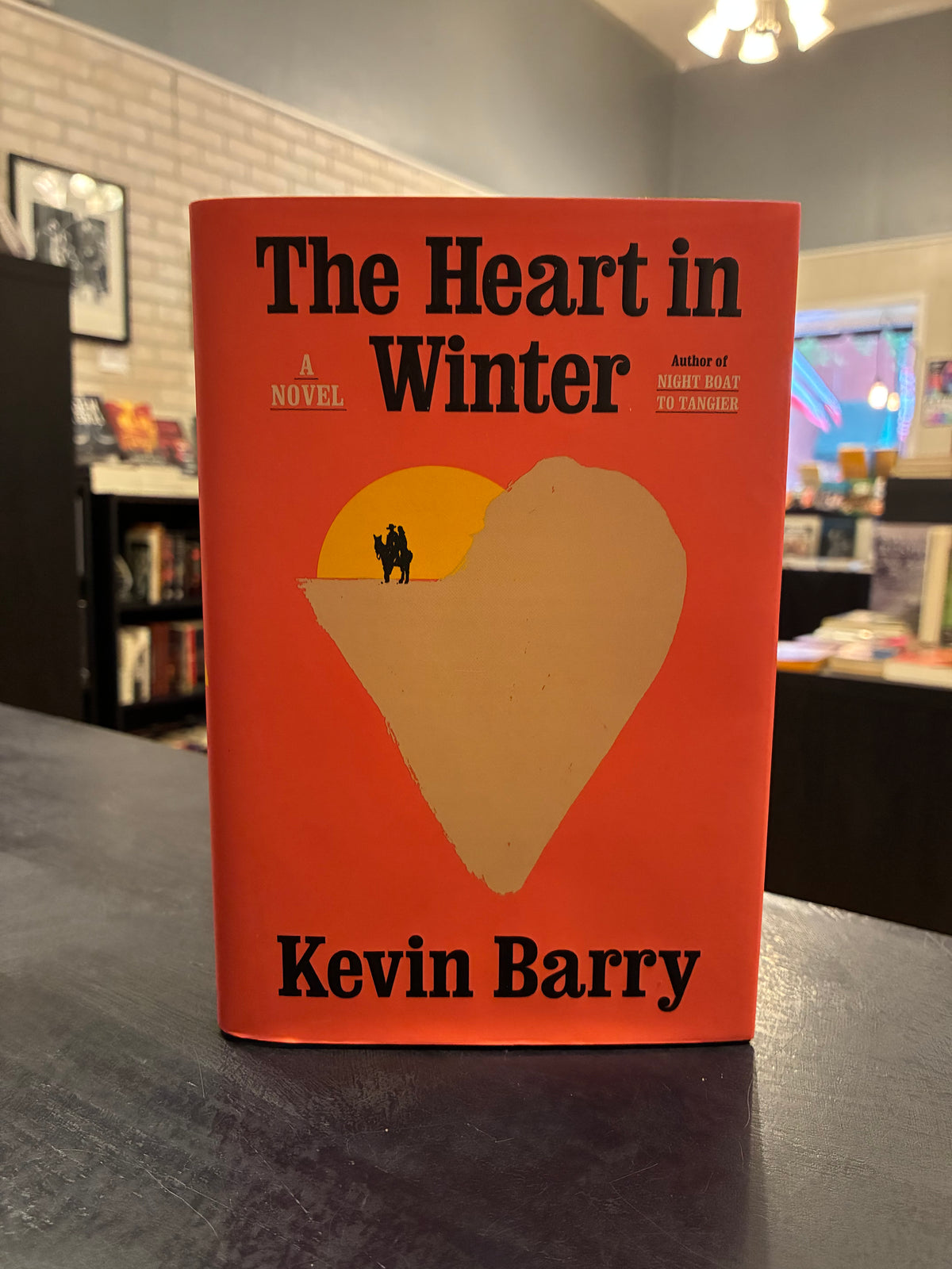 The Heart in Winter - Kevin Barry - EX LIB