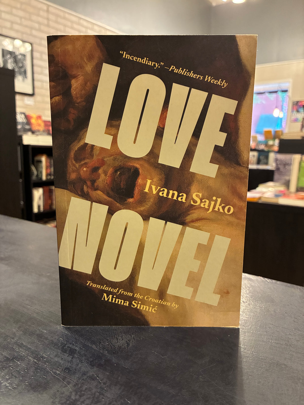 Love Novel - Ivana Sajko