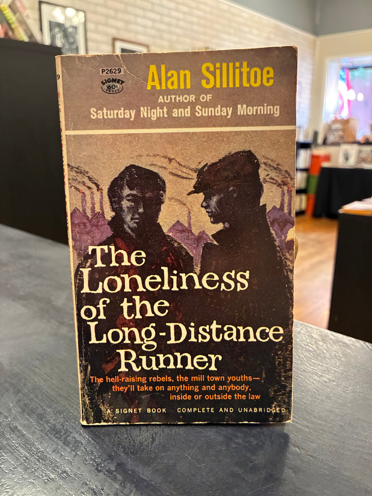 The Loneliness of the Long-Distance Runner - Alan Sillitoe