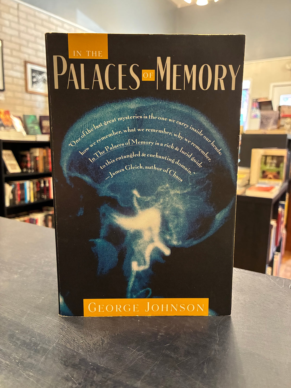 Palaces of Memory - George Johnson