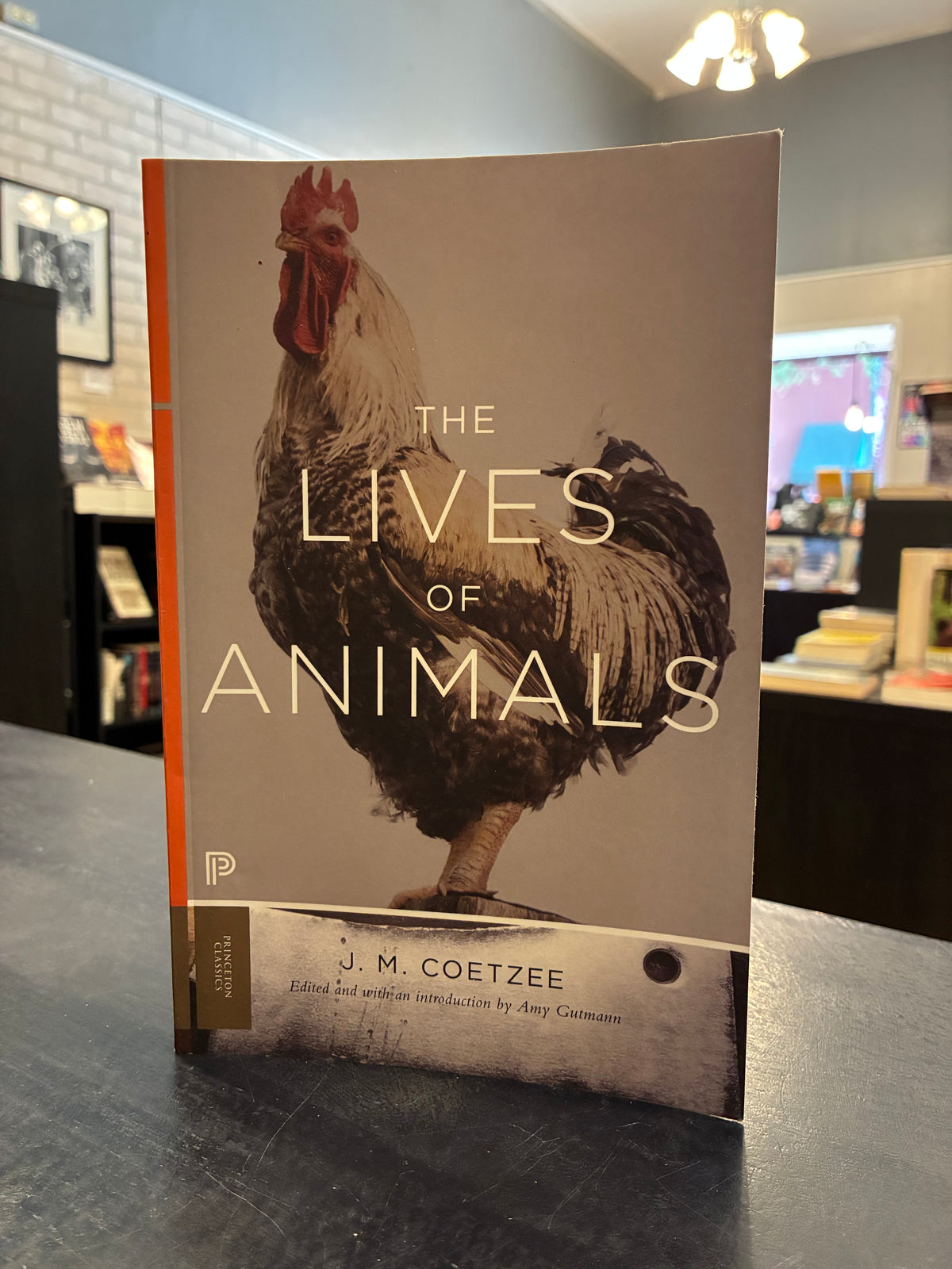 The Lives of Animals - JM Coetzee