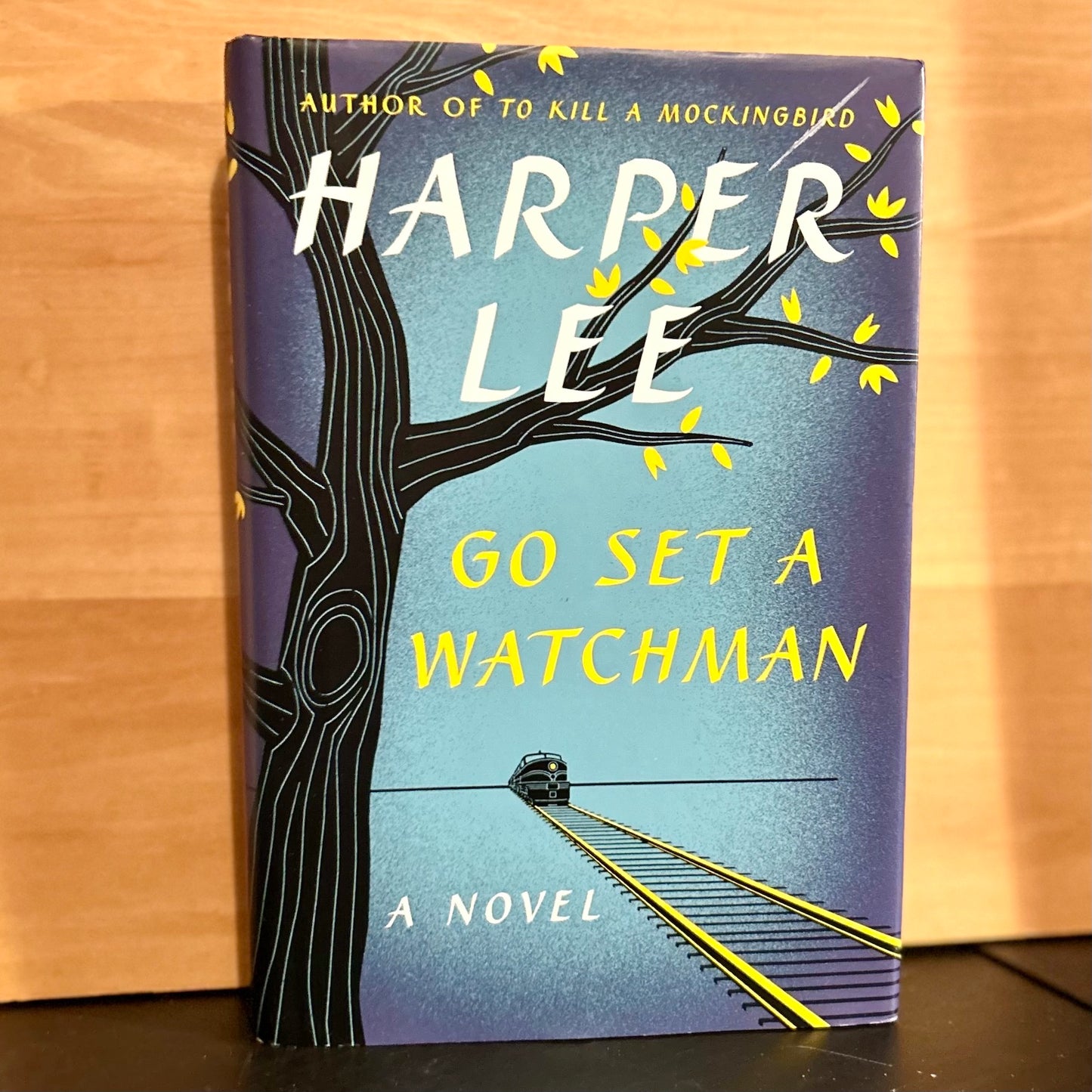 Go Set a Watchman- Harper Lee