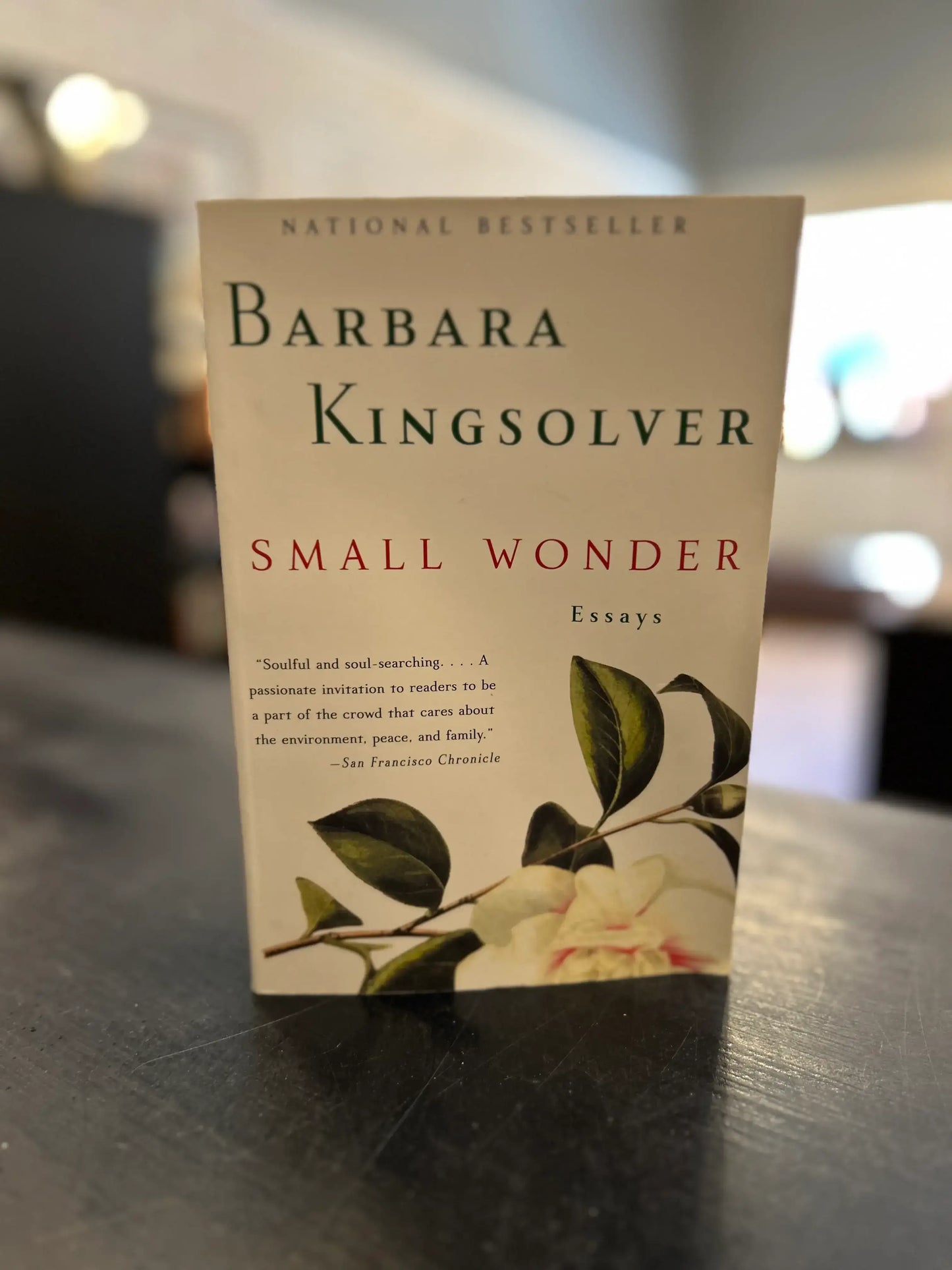 Small Wonder - Barbara Kingsolver