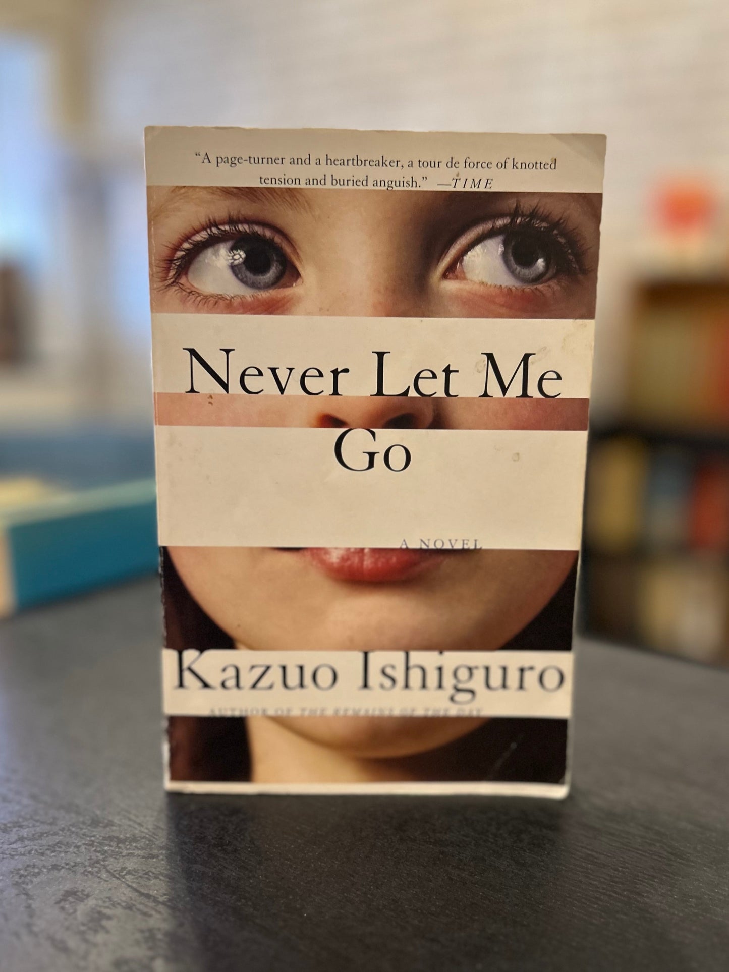Never Let me Go - Kazuo Ishiguro - Stripe cover