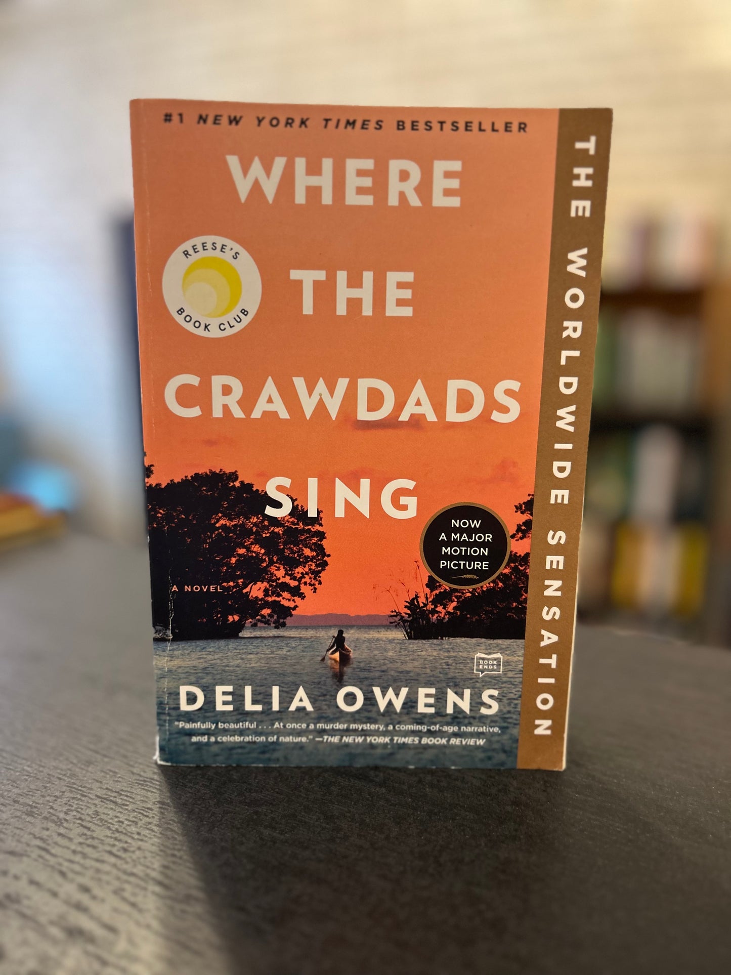 Where the Crawdads Sing - Delia Owens
