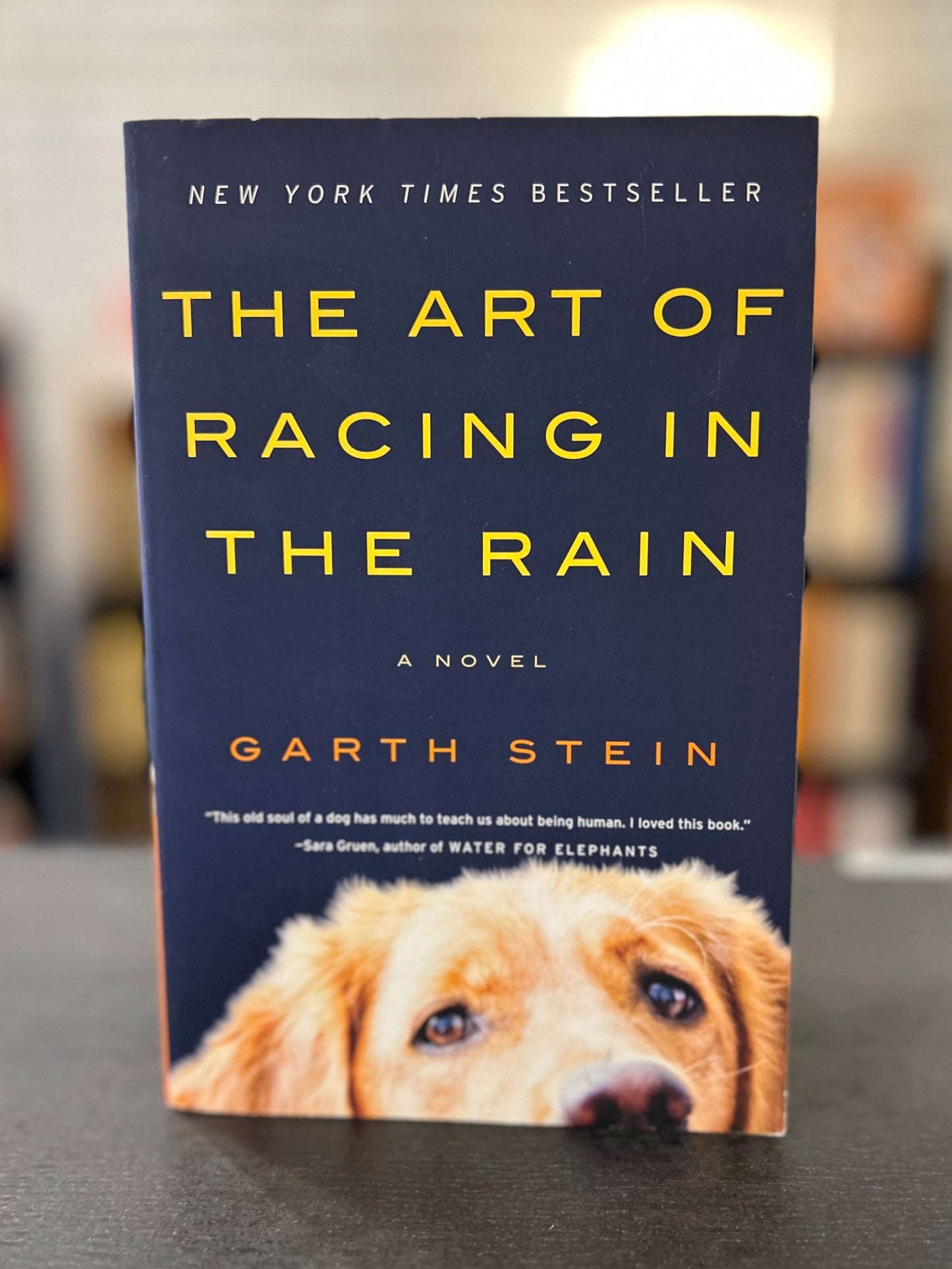 The Art of Racing in the Rain - Garth Stein