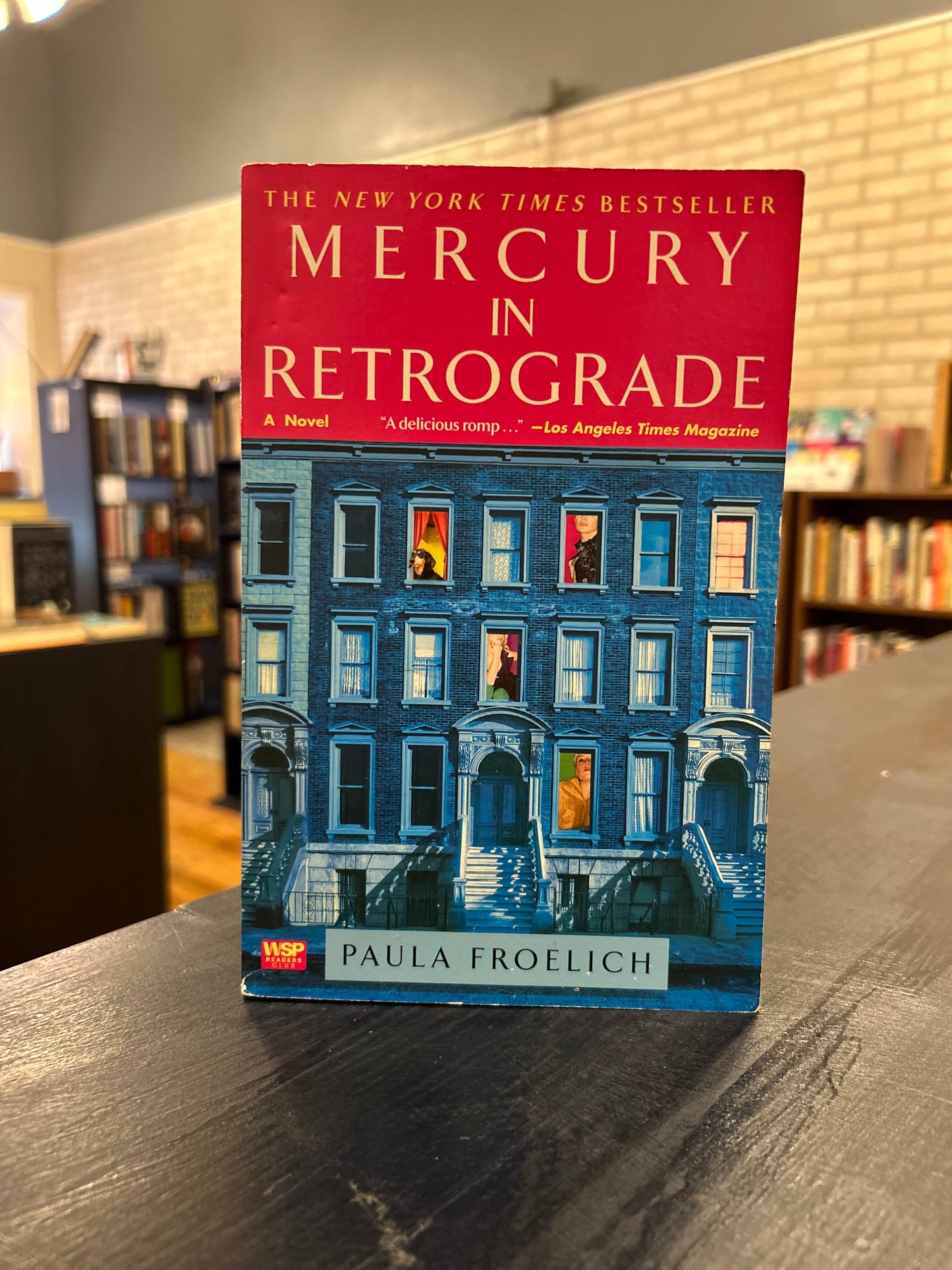 Mercury in Retrograde - Paula Froelich