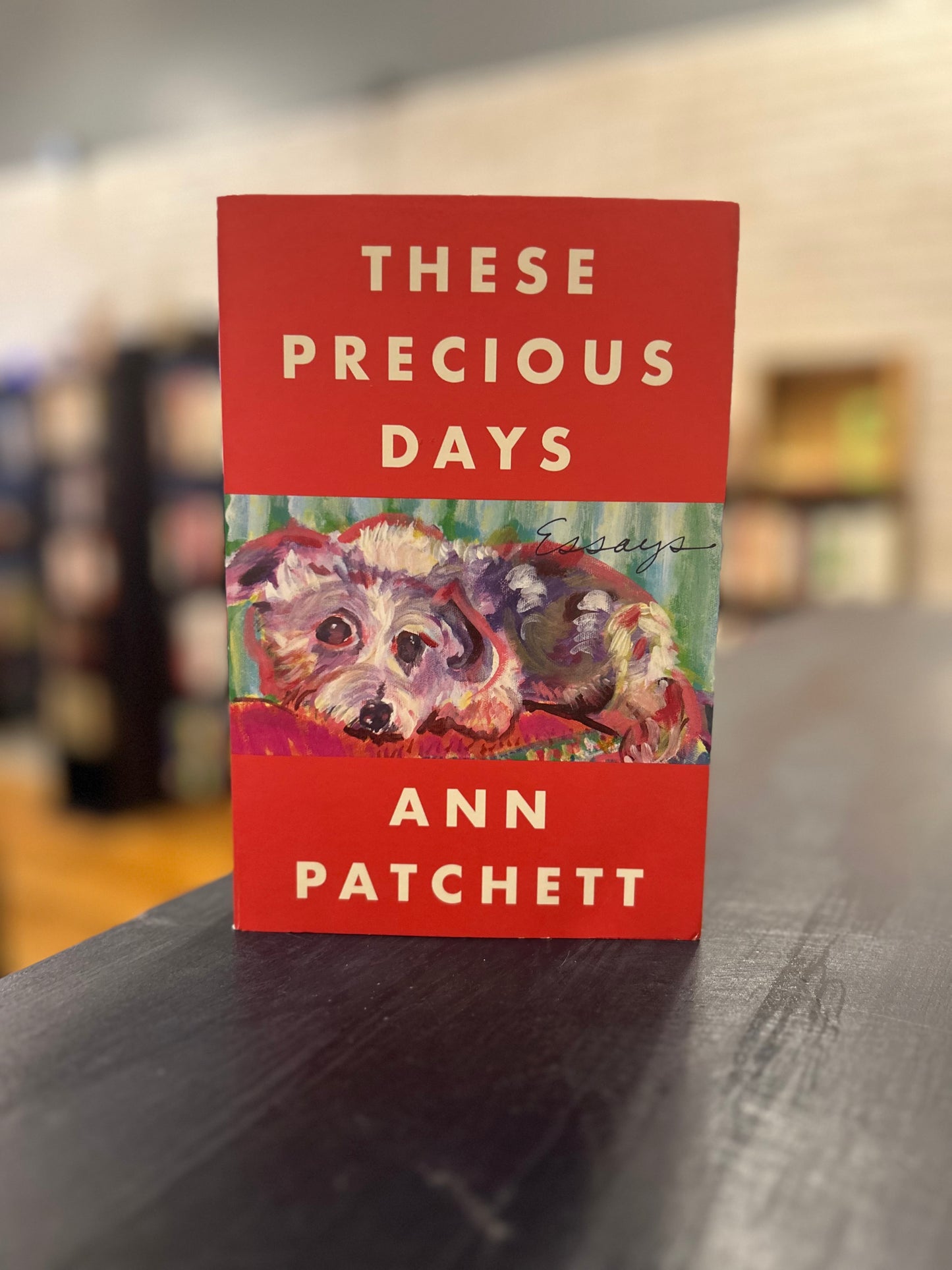 These Precious Days - Ann Pachett