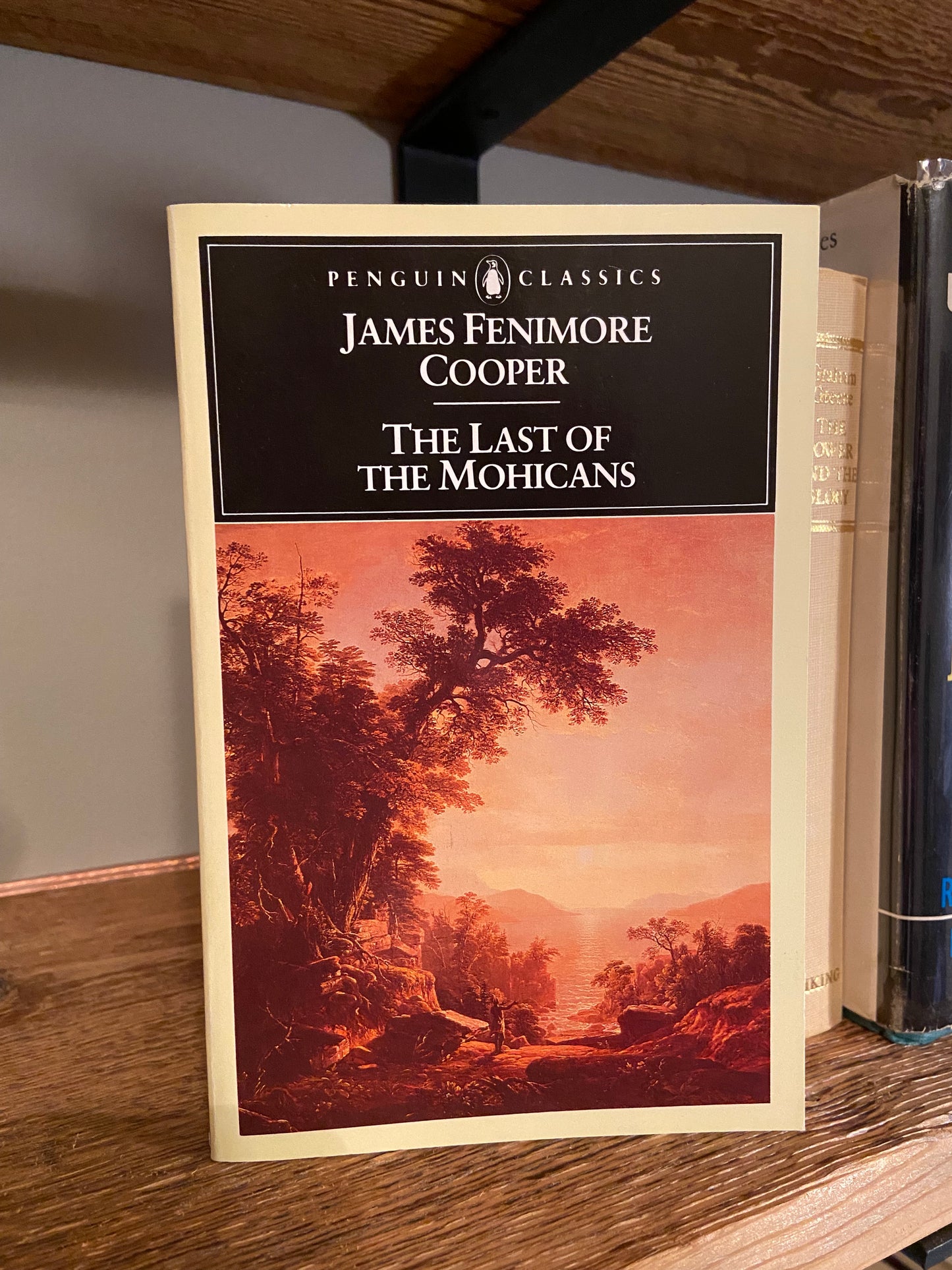 The Last of the Mohicans: by James Fenimore Cooper
