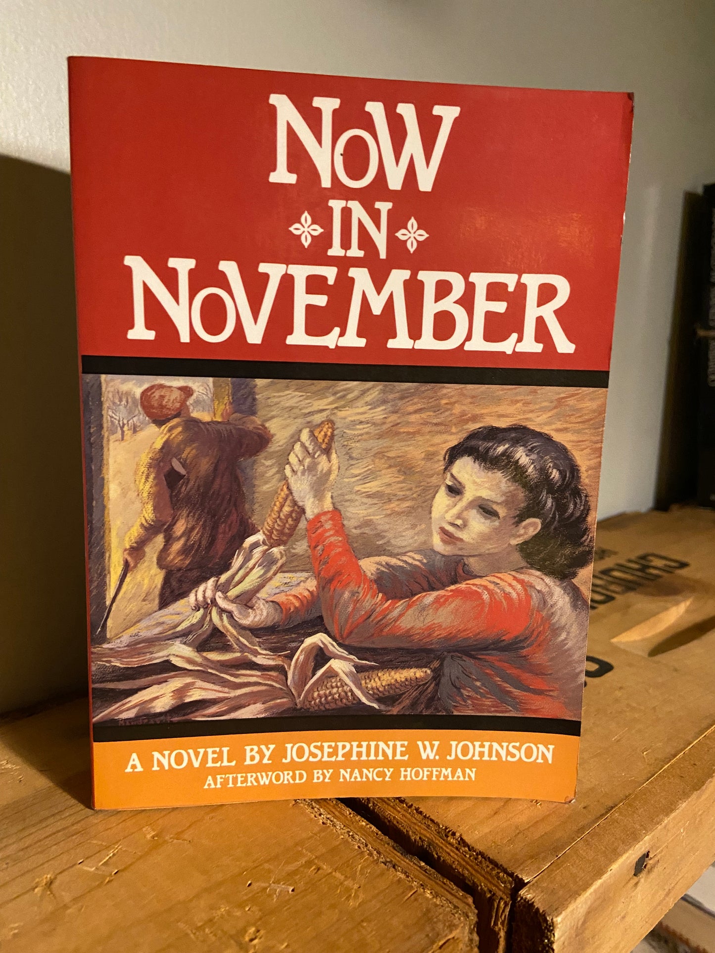 Now in November by Josephine W. Johnson