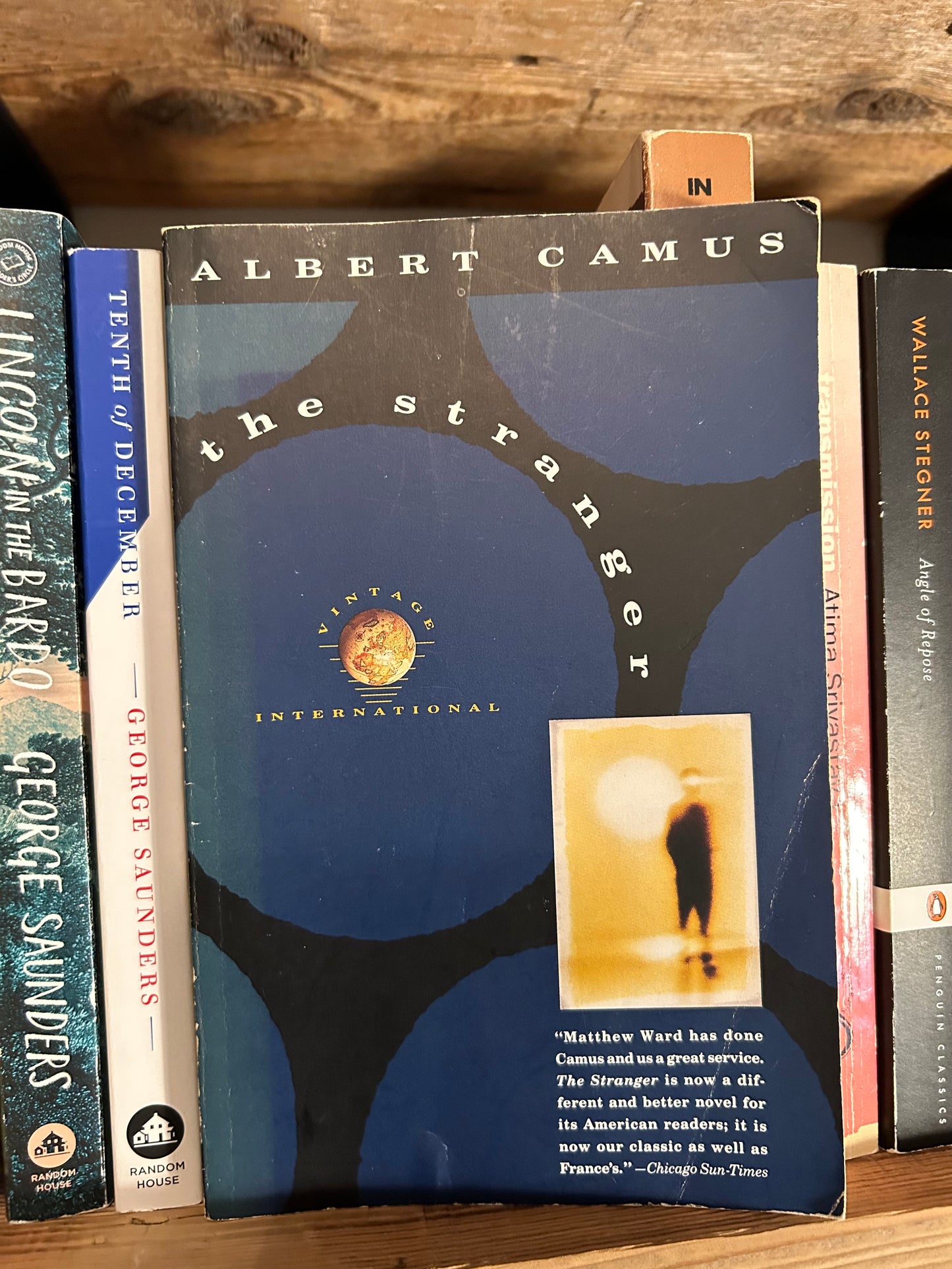 The Stranger by Albert Camus (blue)
